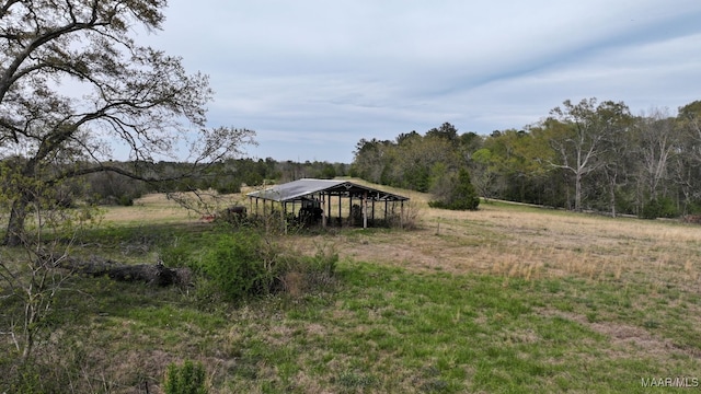 1522 W Old Hayneville Rd, Le Grand, AL 36105 - photo 56