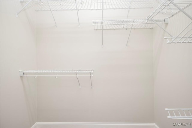 1580 W Overbrook Rd, Millbrook, AL 36054 - view of walk in closet