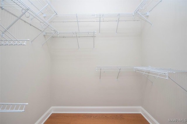 1580 W Overbrook Rd, Millbrook, AL 36054 - walk in closet with wood finished floors