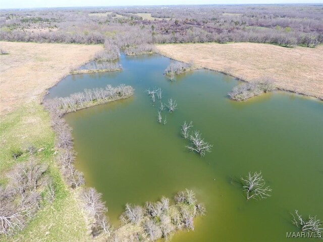 1037 Woodley Rd, Ramer, AL 36069 - photo 7