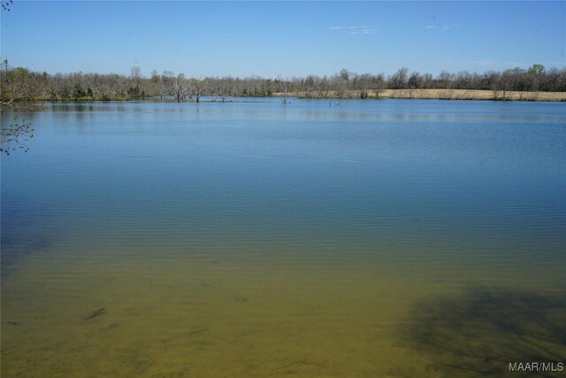 1037 Woodley Rd, Ramer, AL 36069 - photo 10