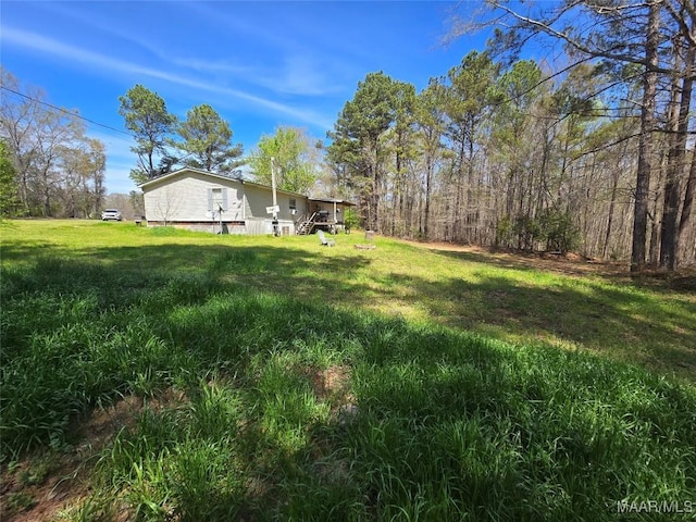 view of yard