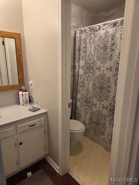 full bathroom featuring toilet, vanity, and a shower with curtain