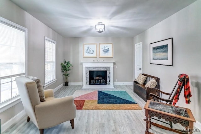 living room featuring wood finished floors, a fireplace, and baseboards