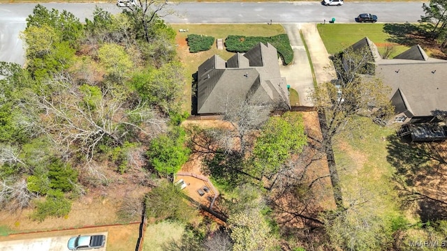 drone / aerial view