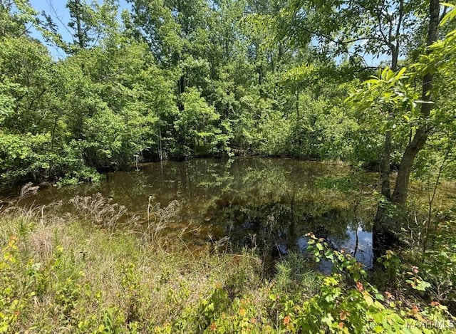 water view featuring a heavily wooded area