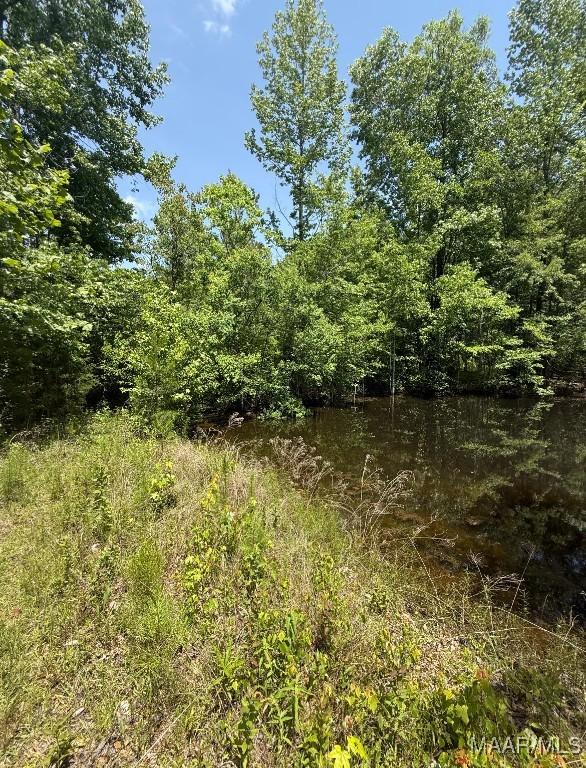 view of woods featuring a water view