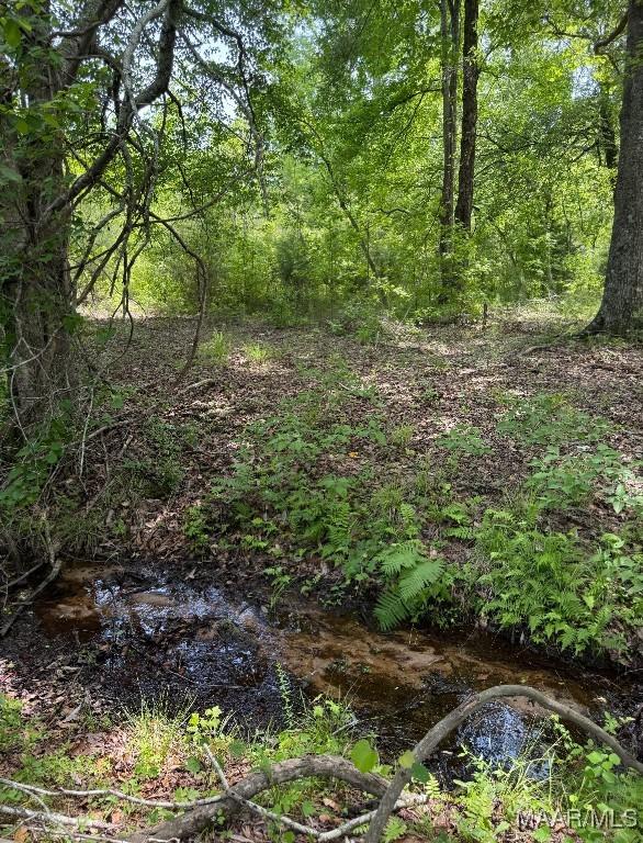 view of wooded area
