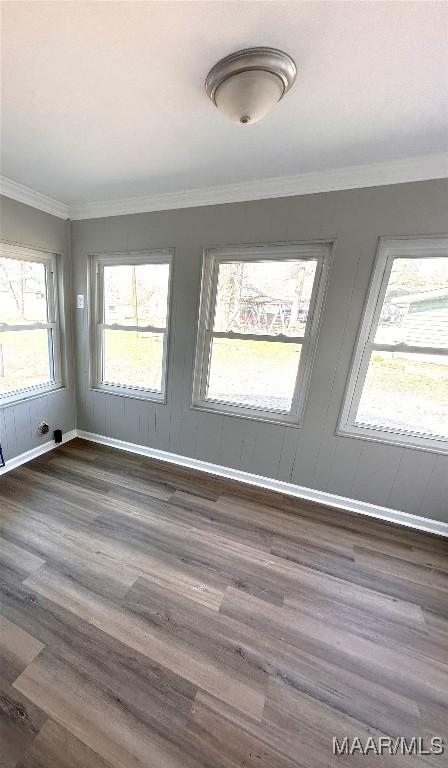 spare room featuring dark wood-style flooring, baseboards, and ornamental molding