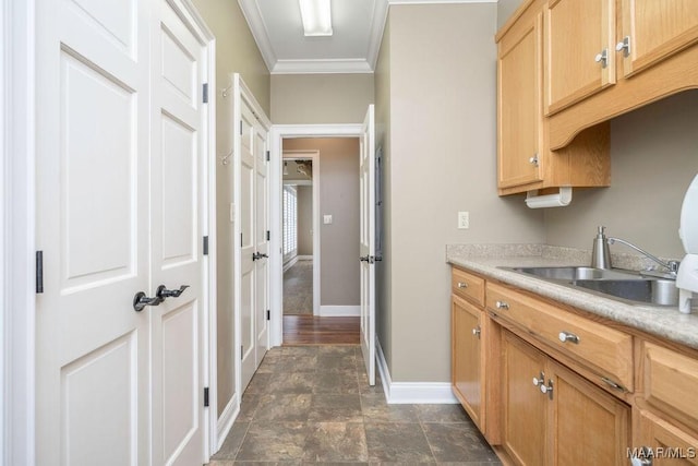 2714 County Road 54, Ozark, AL 36360 - kitchen with light countertops, a sink, crown molding, and baseboards