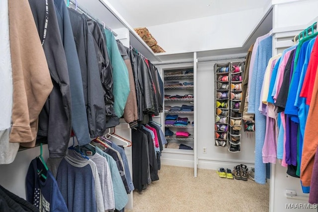 2714 County Road 54, Ozark, AL 36360 - walk in closet featuring carpet