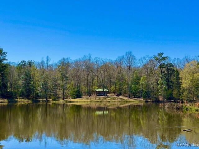 2714 County Road 54, Ozark, AL 36360 - water view featuring a wooded view