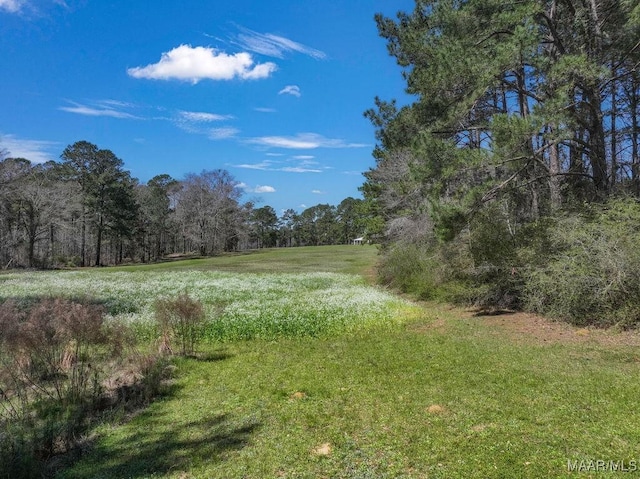 2714 County Road 54, Ozark, AL 36360 - view of local wilderness with a forest view