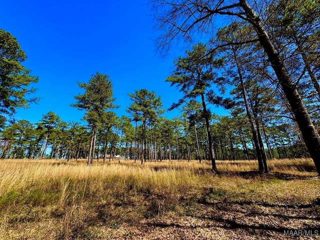 2714 County Road 54, Ozark, AL 36360 - view of local wilderness