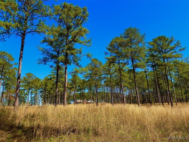 2714 County Road 54, Ozark, AL 36360 - view of local wilderness