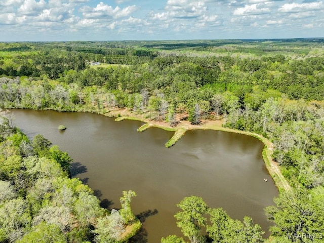 2714 County Road 54, Ozark, AL 36360 - bird's eye view with a water view and a view of trees