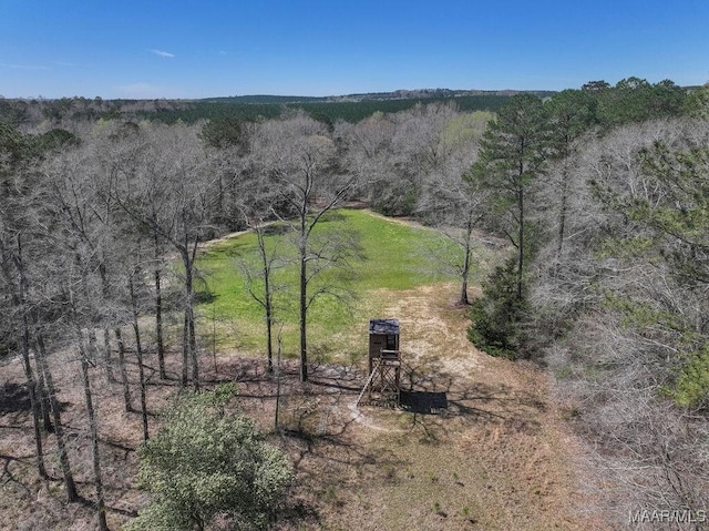 2714 County Road 54, Ozark, AL 36360 - aerial view with a view of trees