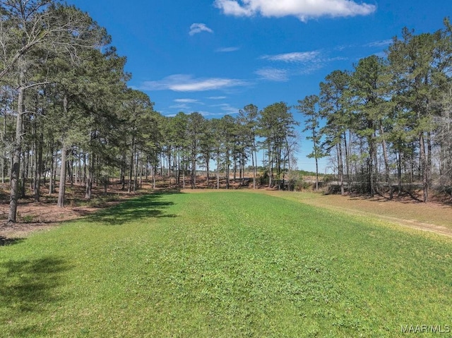 2714 County Road 54, Ozark, AL 36360 - view of yard