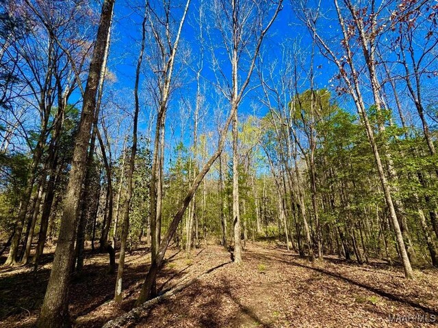 2714 County Road 54, Ozark, AL 36360 - view of nature featuring a wooded view
