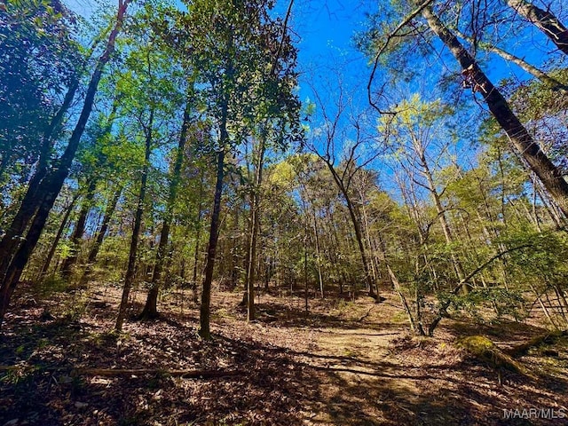 2714 County Road 54, Ozark, AL 36360 - view of nature with a wooded view