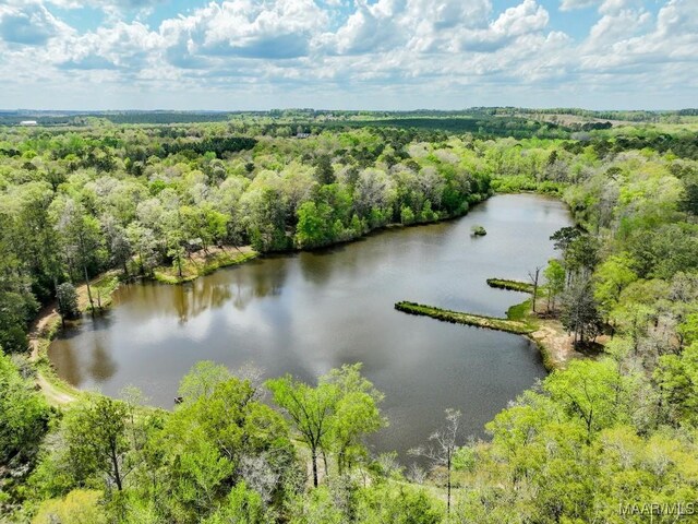 2714 County Road 54, Ozark, AL 36360 - birds eye view of property featuring a water view and a view of trees
