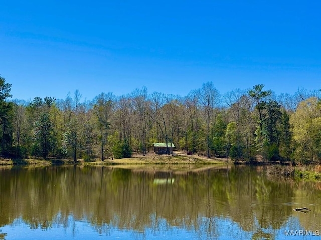 2714 County Road 54, Ozark, AL 36360 - property view of water with a view of trees