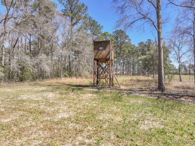 2714 County Road 54, Ozark, AL 36360 - view of yard