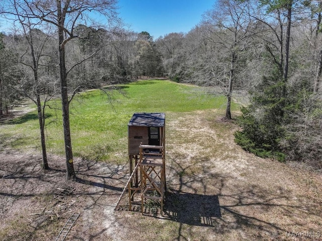 2714 County Road 54, Ozark, AL 36360 - view of yard featuring a view of trees