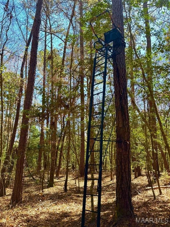 2714 County Road 54, Ozark, AL 36360 - view of nature