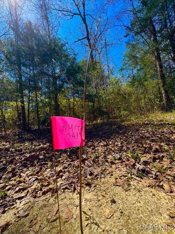 2714 County Road 54, Ozark, AL 36360 - details with a forest view
