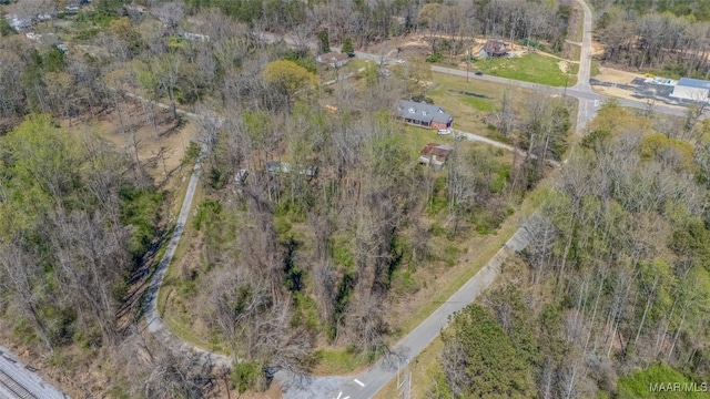 0 County Road 63rd Rd, Marbury, AL 36051 - photo 7