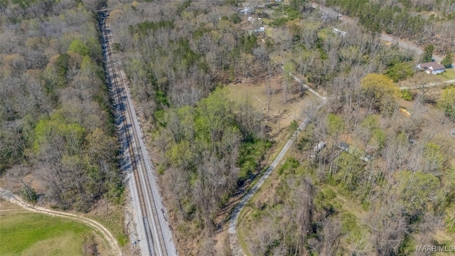 0 County Road 63rd Rd, Marbury, AL 36051 - photo 9
