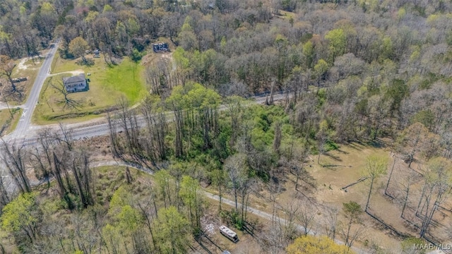 0 County Road 63rd Rd, Marbury, AL 36051 - photo 10