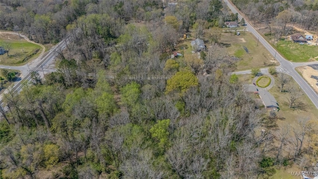 0 County Road 63rd Rd, Marbury, AL 36051 - photo 12