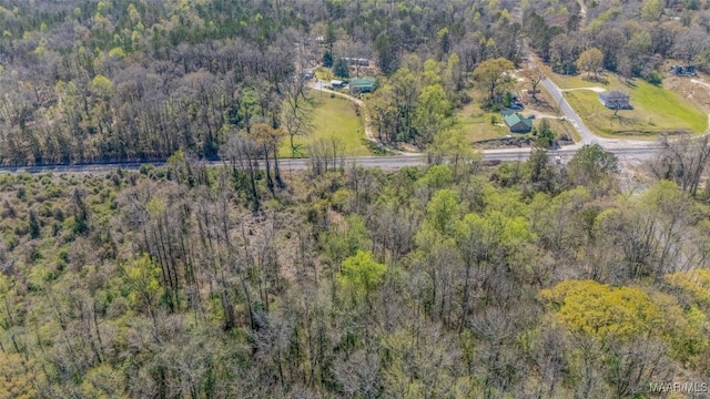 0 County Road 63rd Rd, Marbury, AL 36051 - photo 13