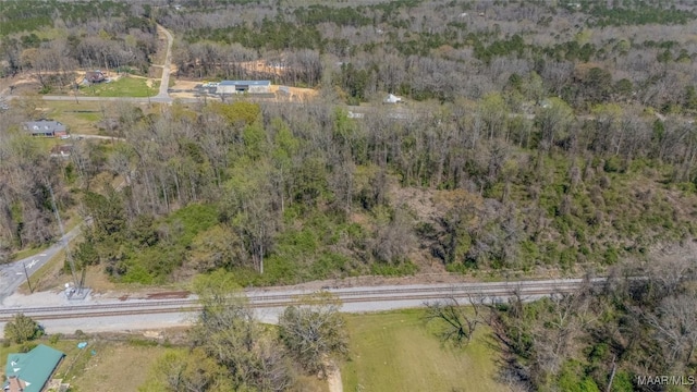0 County Road 63rd Rd, Marbury, AL 36051 - photo 14