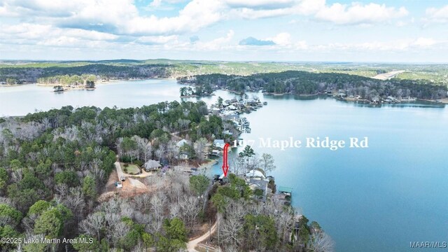 197 Maple Ridge Rd, Alexander City, AL 35010 - drone / aerial view featuring a water view and a wooded view