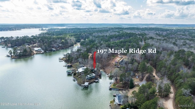 197 Maple Ridge Rd, Alexander City, AL 35010 - aerial view featuring a water view and a view of trees