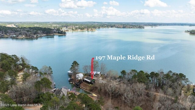 197 Maple Ridge Rd, Alexander City, AL 35010 - drone / aerial view with a water view
