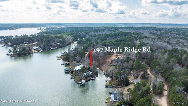 197 Maple Ridge Rd, Alexander City, AL 35010 - drone / aerial view featuring a water view and a forest view