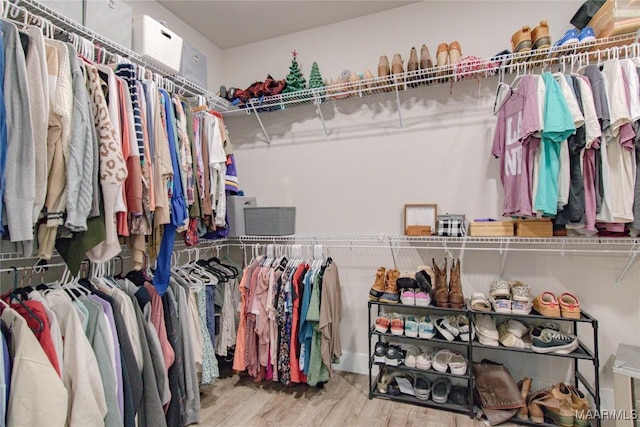 walk in closet featuring wood finished floors