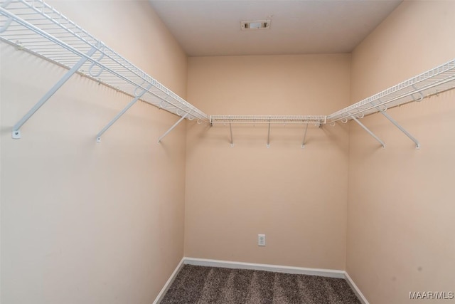 walk in closet featuring carpet floors