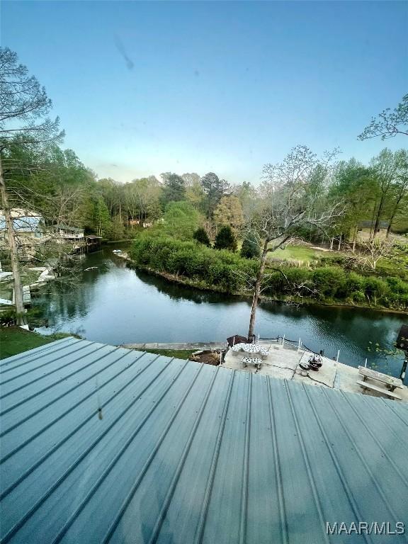 385 Joes Fish Camp Rd, Titus, AL 36080 - photo 11