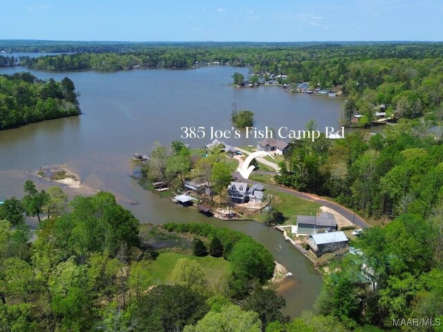 385 Joes Fish Camp Rd, Titus, AL 36080 - photo 3