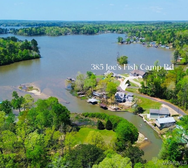 385 Joes Fish Camp Rd, Titus, AL 36080 - photo 7