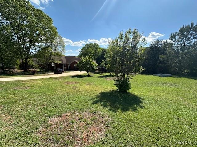 1518 White Cloud Dr, Deatsville, AL 36022 - view of yard