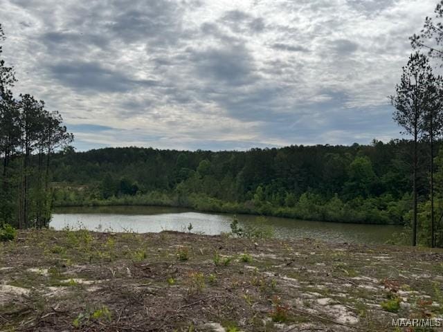 2630 Hannah Dr, Deatsville, AL 36022 - photo 4