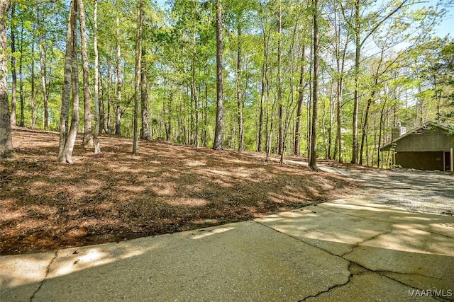 315 Lake Point Dr, Jacksons Gap, AL 36861 - view of yard
