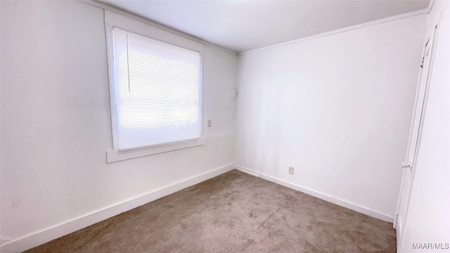spare room featuring carpet floors and baseboards