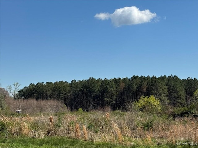 O Merritt Ln, Prattville, AL 36067